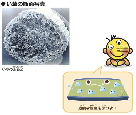 たたみの保温・断熱性